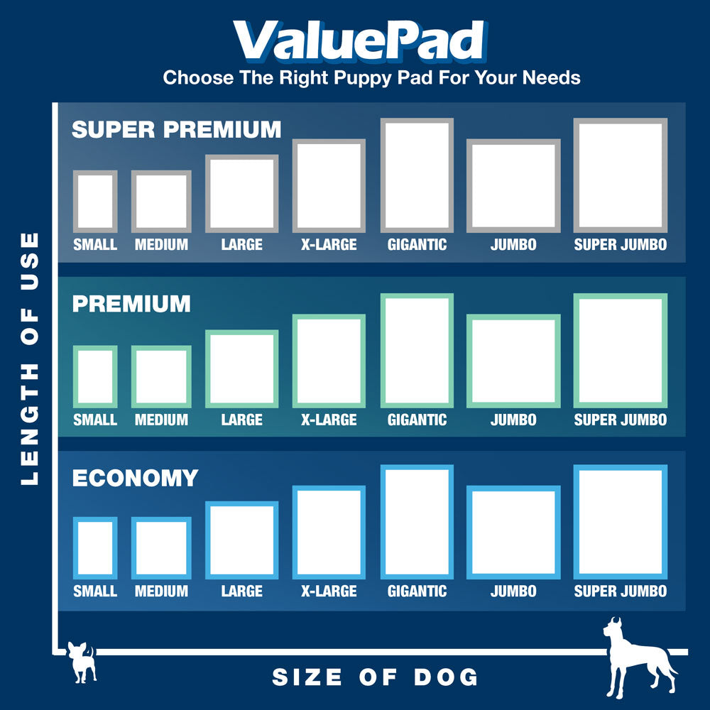 ValuePad Puppy Pads, Small 17x24 Inch, 300 Count - Economy Training Pads for Dogs, Leak Proof 5-Layer Design 