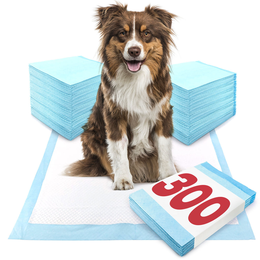 ValuePad Puppy Pads, Large 28x30 Inch, 300 Count BULK PACK - Economy Training Pads for Dogs, Leak Proof 5-Layer Design 