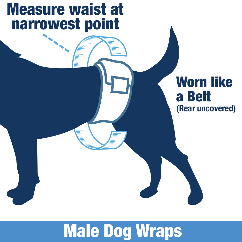 NEW- ValueWrap Male Wraps, Disposable Dog Diapers, 1-Tab Large, Lavender, 144 Count - Snag-Free Fastener, Leak Protection, Wetness Indicator 